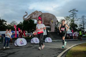 BIB: 
                            <button type="button" onclick="openModal(26529426)" class="btn btn-primary btn-sm float-right btn-popup" data-toggle="modal" data-target=".modal-high-quality">
                        <i class="fas fa-shopping-cart"></i> Add to Cart
                    </button>
                                            <button type="button" onclick="isThisMe(26529426, true)" class="btn btn-success btn-sm float-right btn-popup btn-isme hidden" data-toggle="tooltip" data-placement="bottom" title="นี่คือรูปของคุณใช่ไหม คลิกที่นี่เพื่อเอาเข้าอัลบั้ม">
                        <i class="fas fa-plus"></i> Add to album
                    </button>
                    <button type="button" onclick="isThisMe(26529426, false)" class="btn btn-warning btn-sm float-right btn-popup btn-isnotme hidden">
                        <i class="fas fa-ban"></i> Remove from album
                    </button>